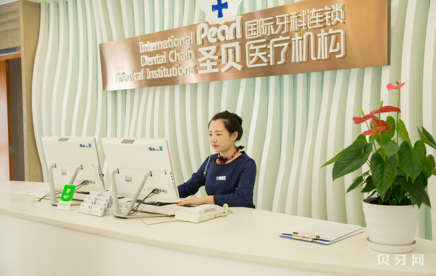 64d47a17bd20441bbe9b765819b17c0c376-banner.png