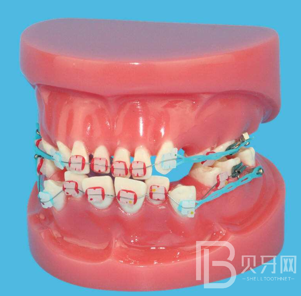 1646732385168577.png 0000.png