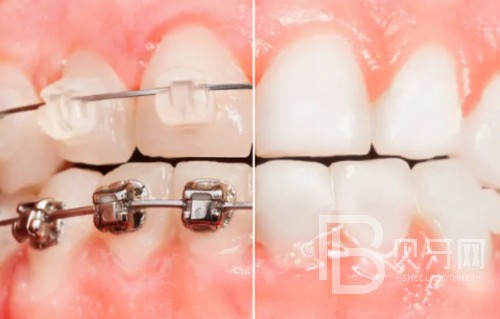 1667526230377031.jpg 截图14498.jpg