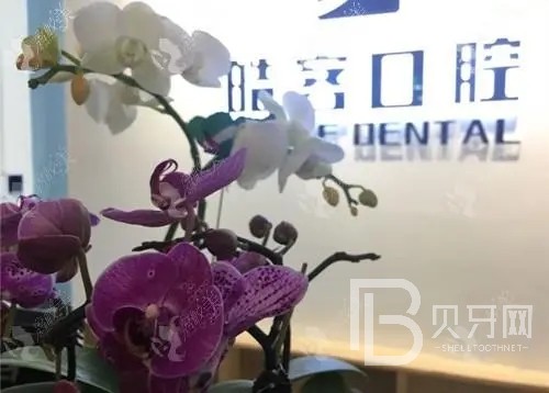 济南本地种牙口腔医院排名前十榜单2023公布！济南皓克口腔医院案例反馈＋科室简介，快戳进来~