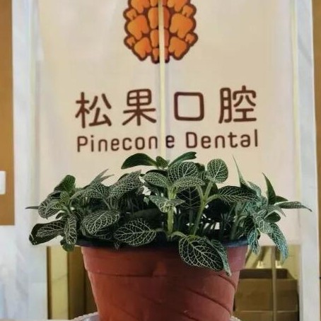 临沂烤瓷牙口腔医院排名前十榜单2023公布！临沂松果口腔门诊部(新东关店)收费都不贵的